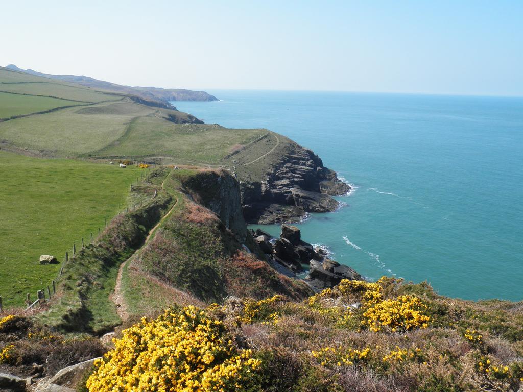 Fern Villa B&B Fishguard Luaran gambar